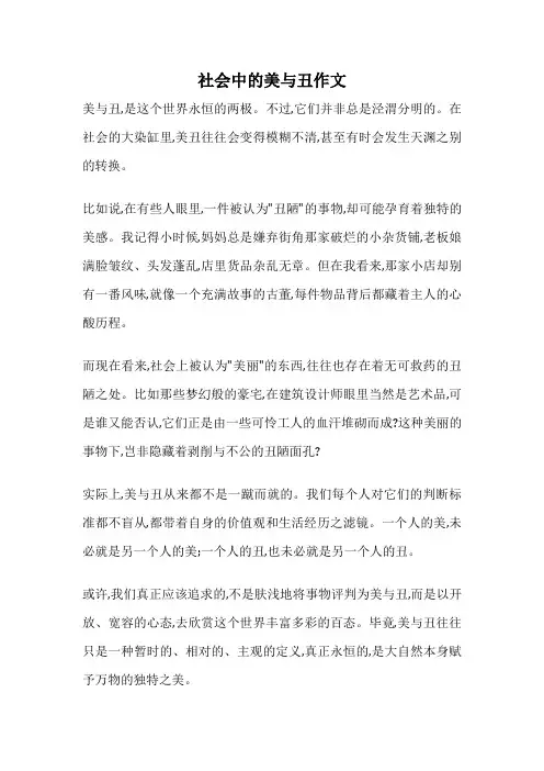 社会中的美与丑作文