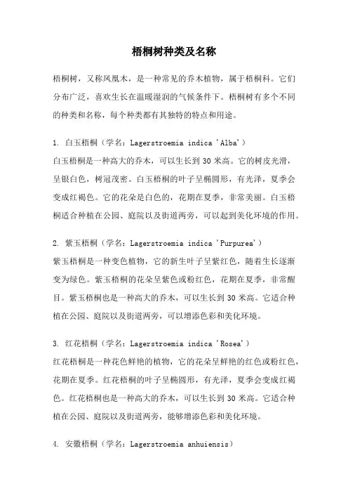梧桐树种类及名称