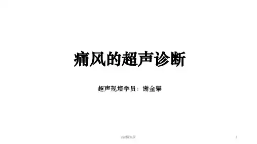 痛风的超声诊断ppt课件