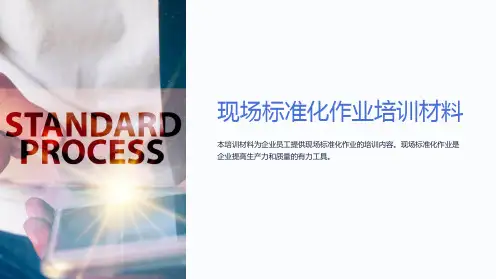 现场标准化作业培训材料