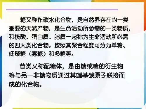 天然产物化学糖及苷类