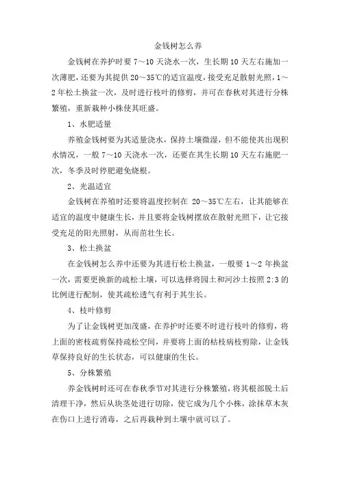 金钱树怎么养