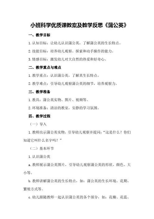 小班科学优质课教案及教学反思《蒲公英》