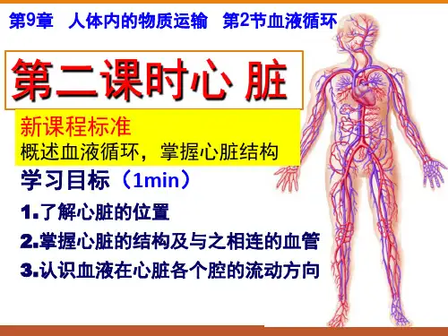 9.2.2 血液循环的第二课时-心脏课件北师大版生物七下