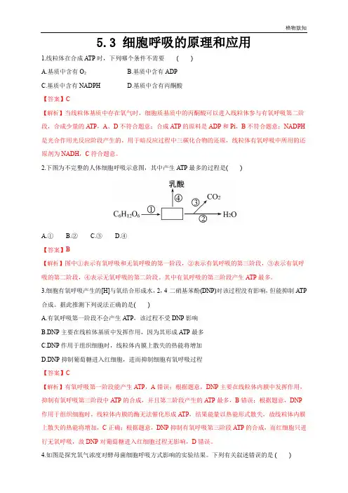 高中生物第一册 5 3 细胞呼吸的原理和应用 练习(含答案)