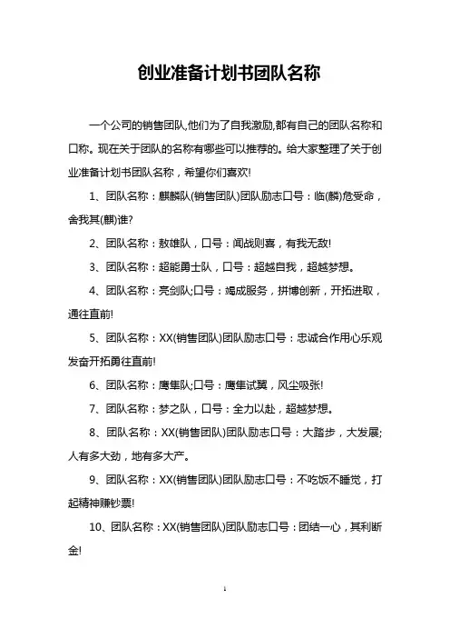 创业准备计划书团队名称