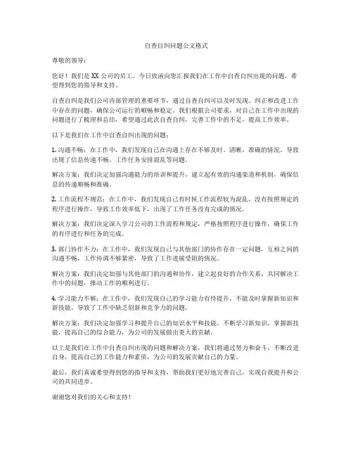 自查自纠问题公文格式