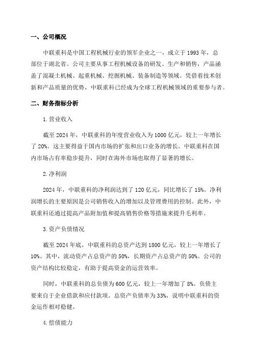 中联重科2024年度财务分析报告