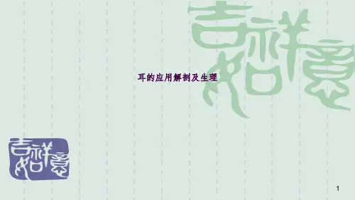 耳解剖ppt课件