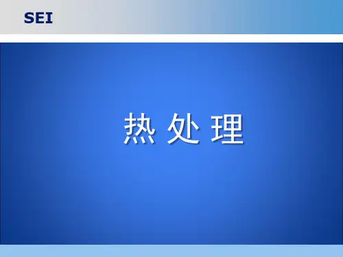 热处理(PPT)
