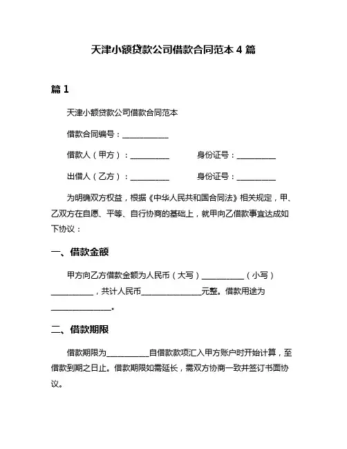 天津小额贷款公司借款合同范本4篇