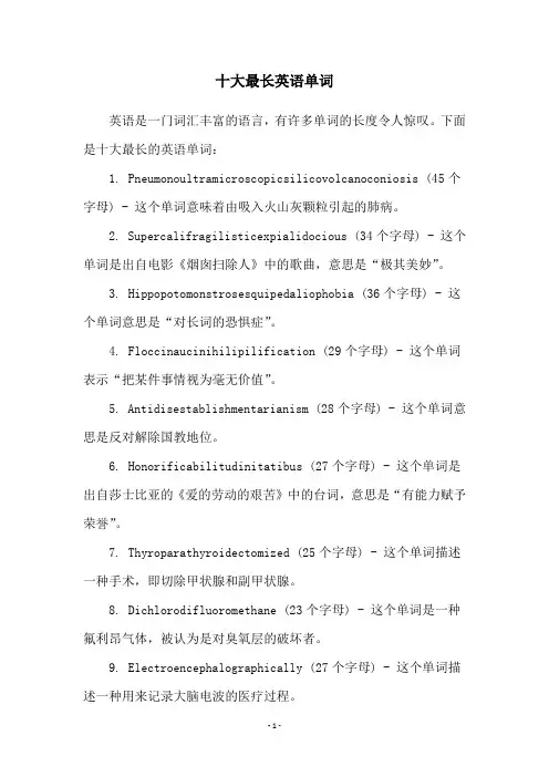 十大最长英语单词