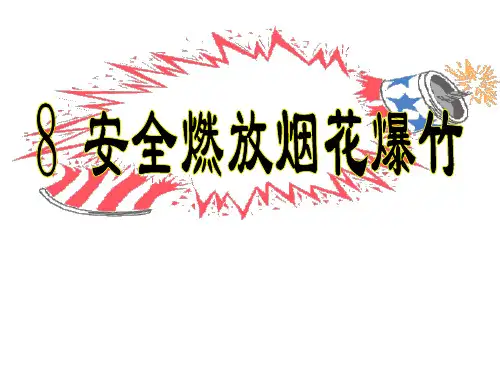 8 安全燃放烟花爆竹.ppt