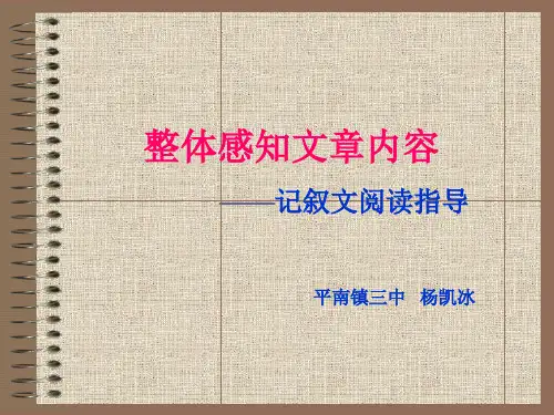 记叙文阅读之整体感知