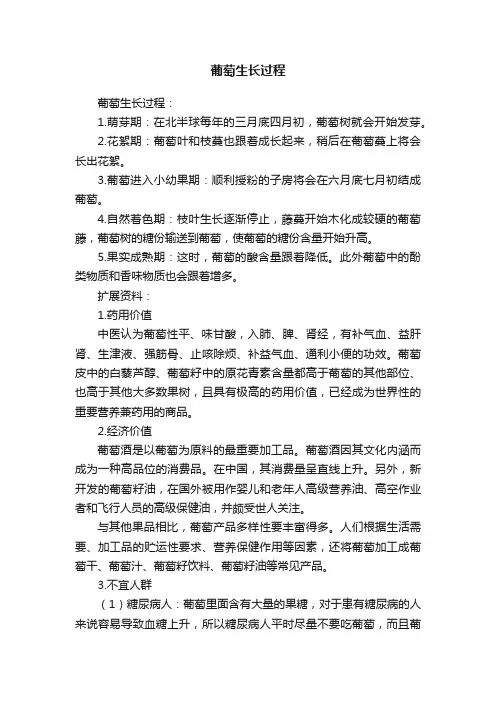 葡萄生长过程