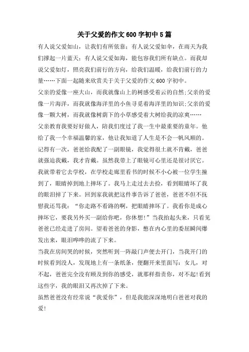 关于父爱的作文600字初中5篇