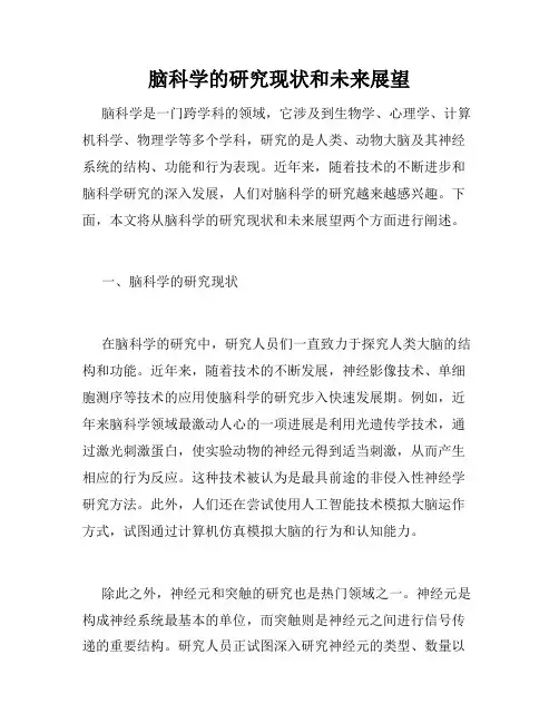 脑科学的研究现状和未来展望