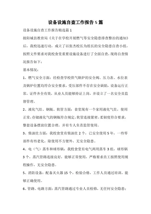 设备设施自查工作报告