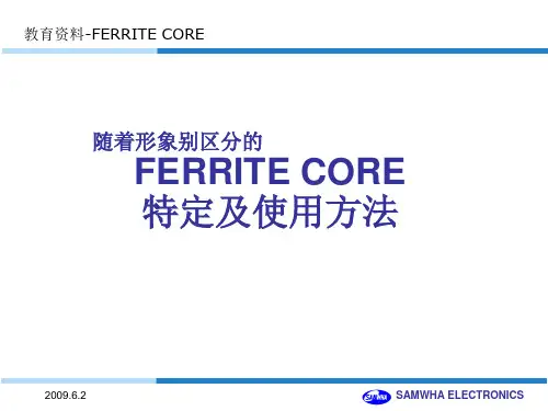 FERRITE CORE 特定及使用方法