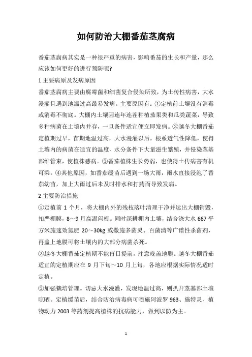 如何防治大棚番茄茎腐病