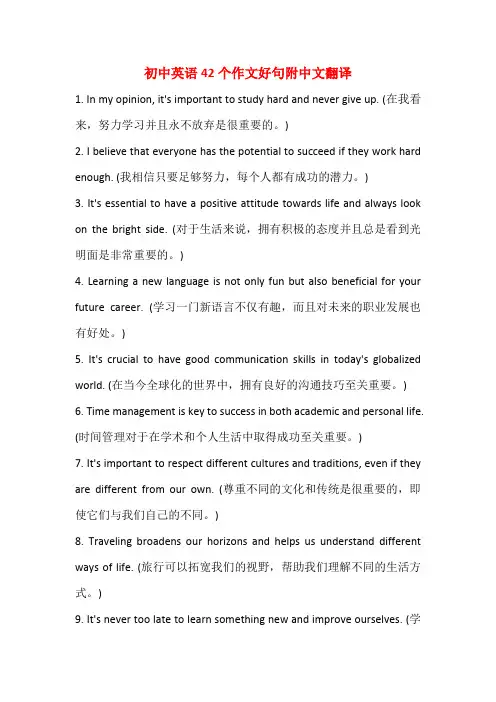 2025年中考英语42个作文好句附中文翻译