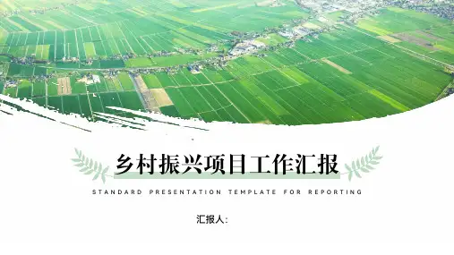 乡村振兴扶贫项目工作汇报PPT模板