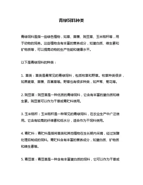 青绿饲料种类