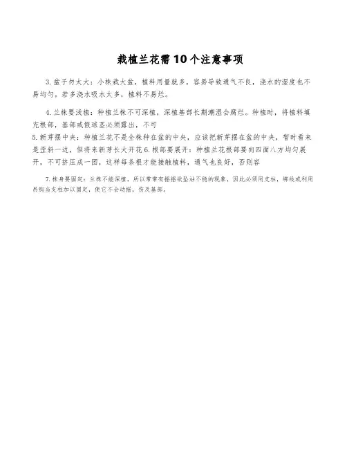 栽植兰花需10个注意事项