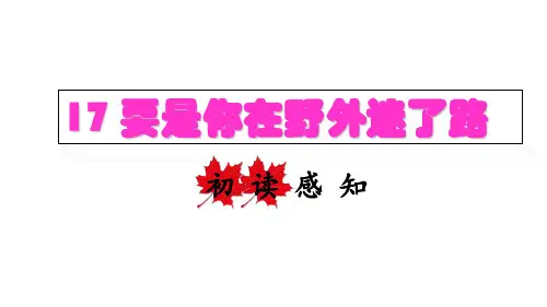 《要是你在野外迷了路》(完美版)PPT课件1