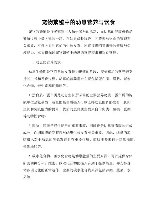 宠物繁殖中的幼崽营养与饮食