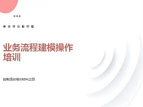 控制活动培训之四业务流程建模操作培训