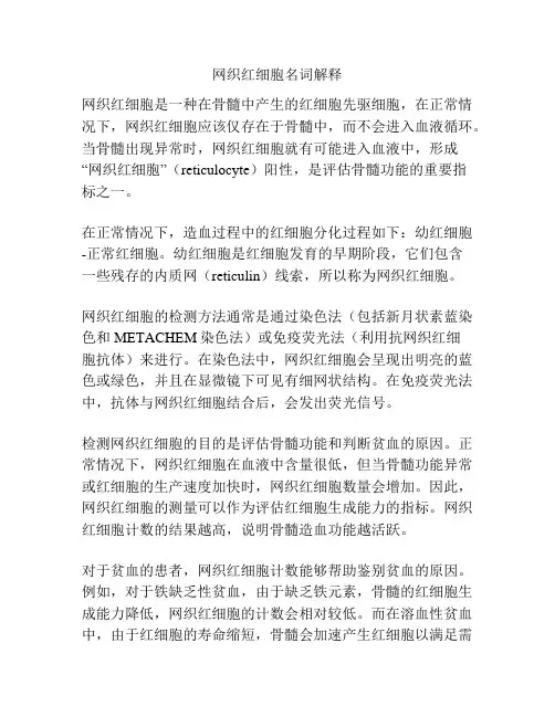 网织红细胞名词解释