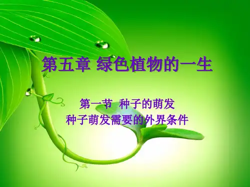 苏教版初中生物七年级上册 3.5.1 植物种子的萌发 课件 (共21张PPT)