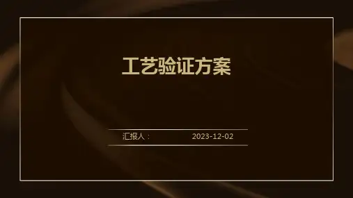工艺验证方案
