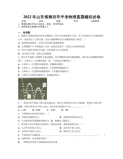 2022年山东省潍坊市中考物理真题模拟试卷及解析