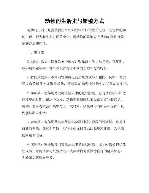 动物的生活史与繁殖方式