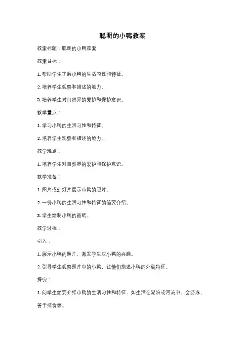 聪明的小鸭教案