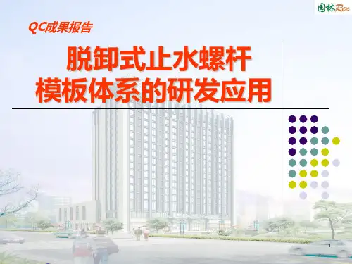 止水螺杆模板体系施工应用(脱卸式-)PPT课件