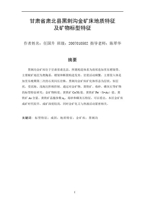 甘肃省肃北县黑刺沟金矿床地质特征及矿物标型特征