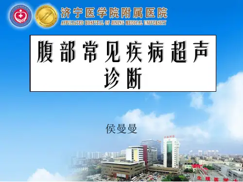 腹部常见疾病超声诊断技能
