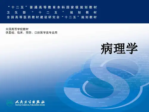 损伤的修复ppt课件