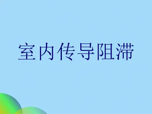 室内传导阻滞(共31张PPT)