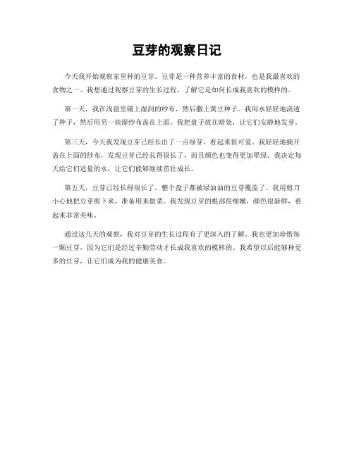豆芽的观察日记