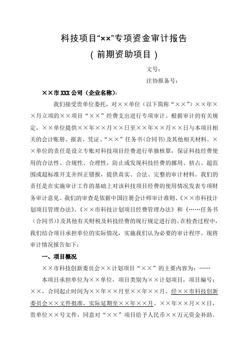 科技项目专项资金审计报告