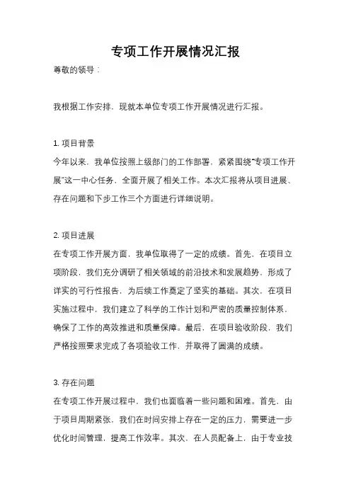 专项工作开展情况汇报