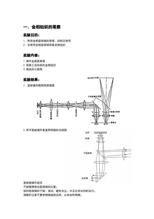 材料科学实验-金相组织的观察