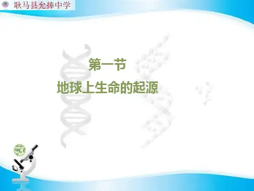 7.3.1 地球上生命的起源 课件 人教版八年级生物下册