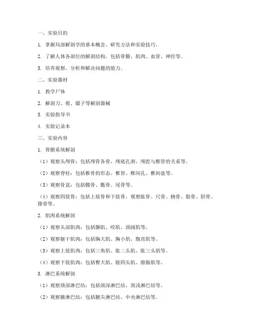 局部解剖学整体实验报告
