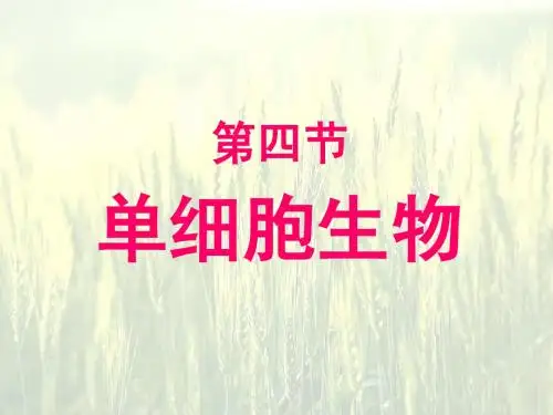 第四节单细胞生物