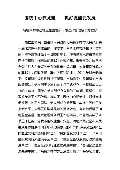 围绕中心抓党建  抓好党建促发展